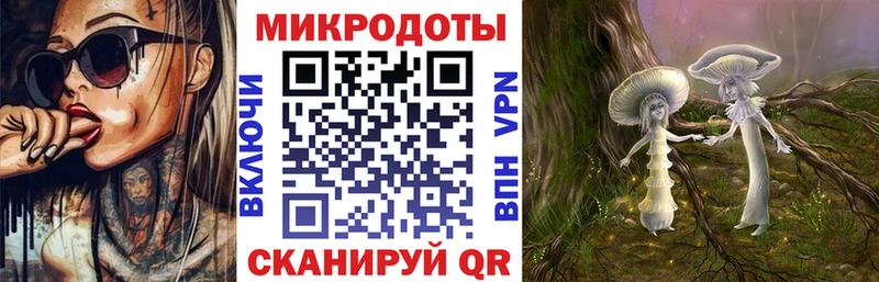 Псилоцибиновые грибы Psilocybe  Цоци-Юрт 