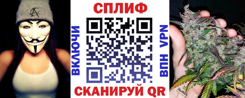 Конопля марихуана  где можно купить   Цоци-Юрт 