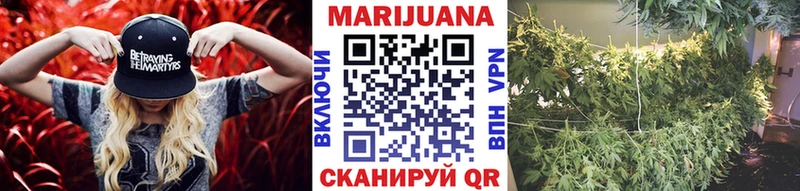 Марихуана Ganja Цоци-Юрт